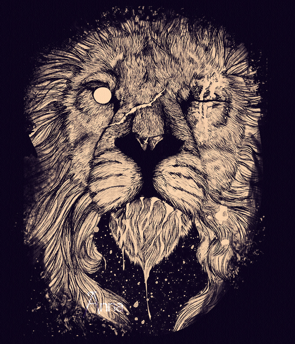 Lions face Black and White Stock Photos  Images  Alamy