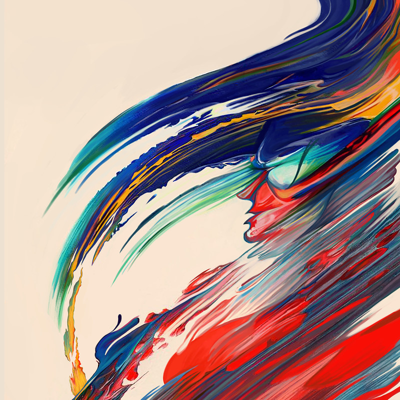 Scarlet Macaw