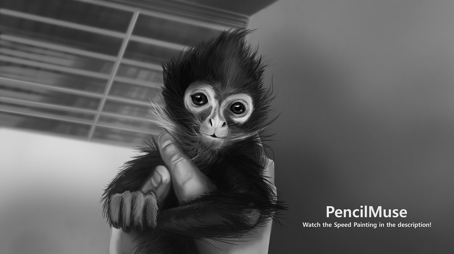 Artstation Daily Speed Painting Baby Spider Monkey Bodo Muller