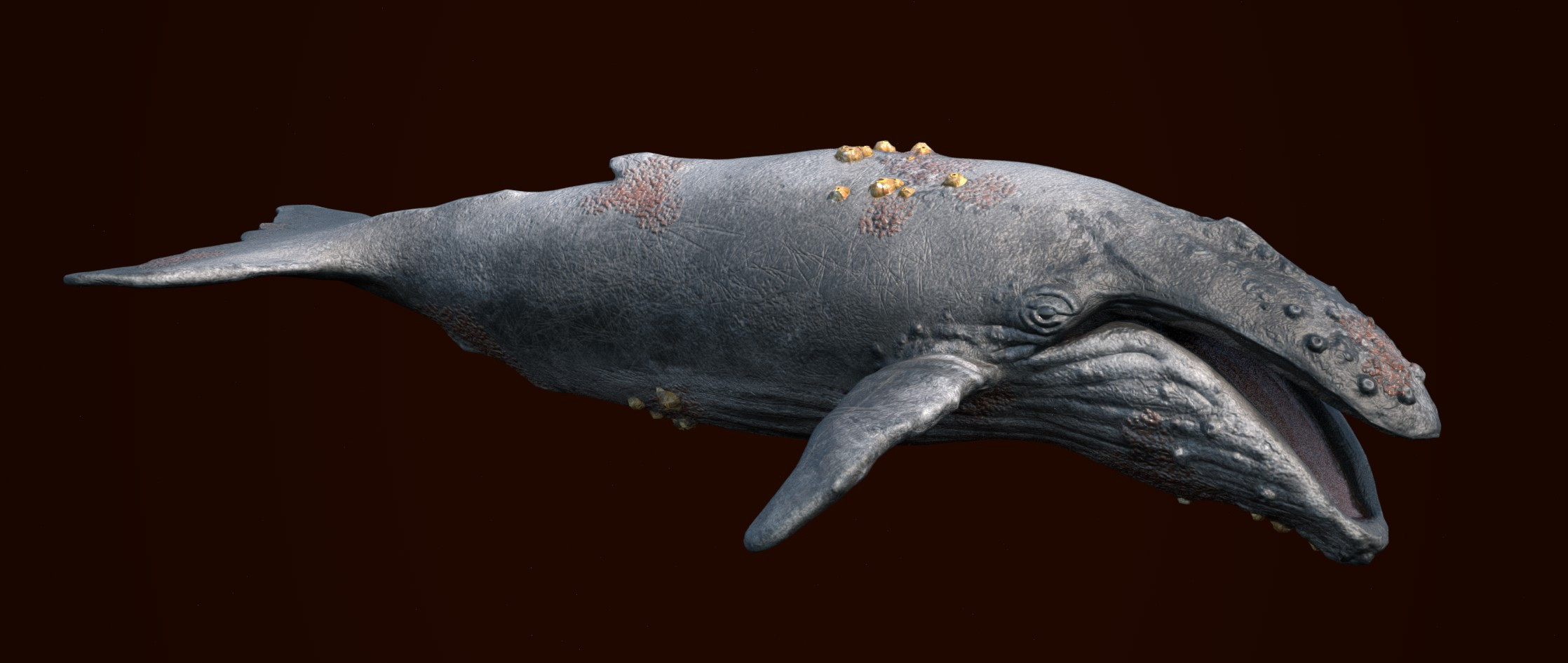 Game Character: Humpback Whale