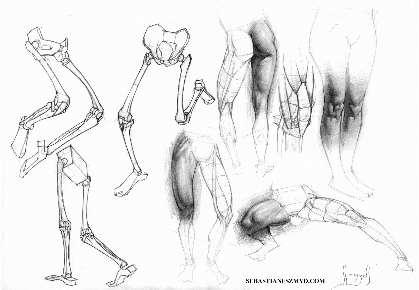 sebastian-szmyd-thigh-knee.jpg?150473413