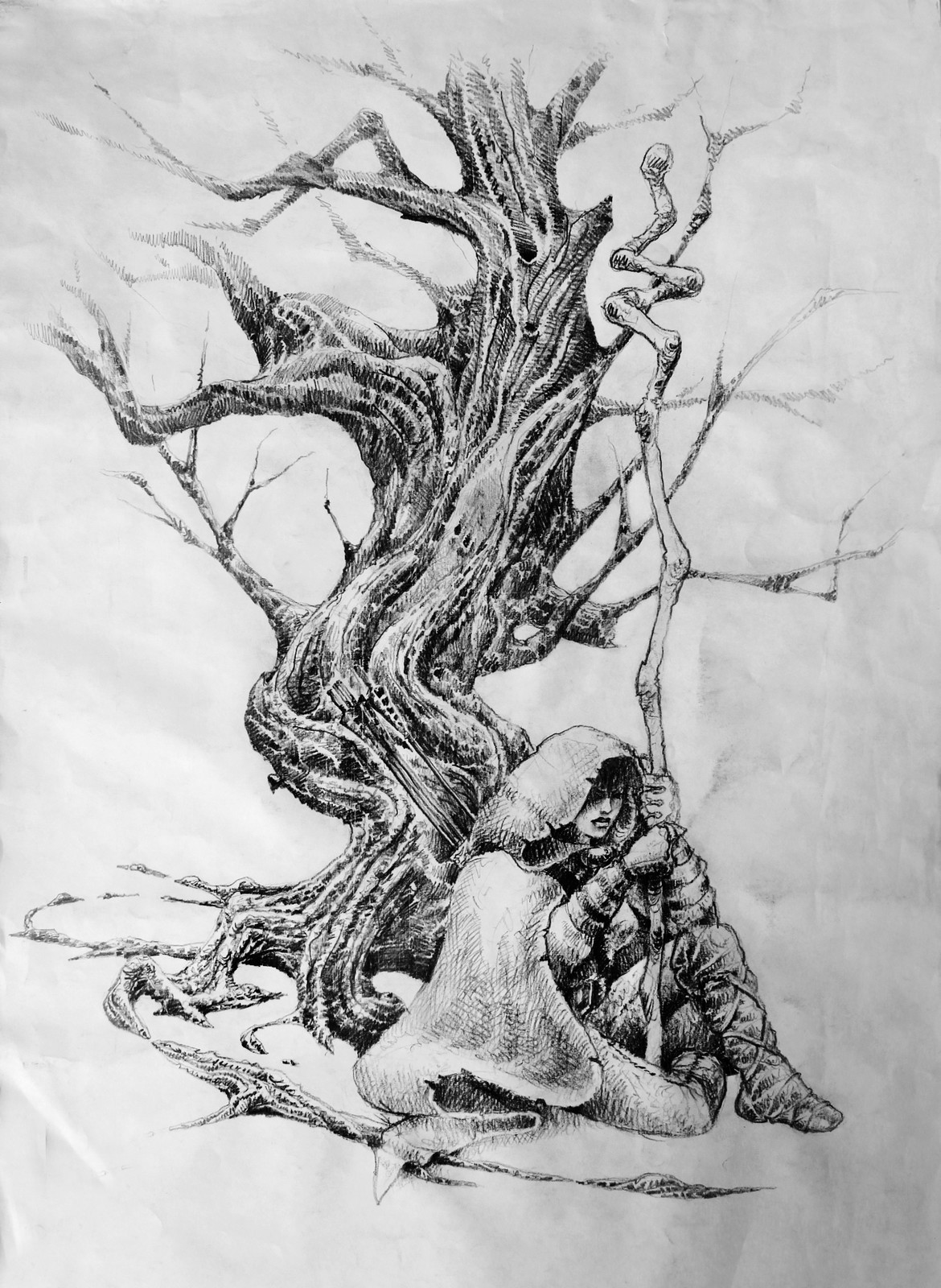 Old tree