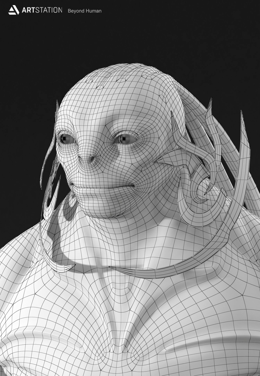 Wireframe Close Up