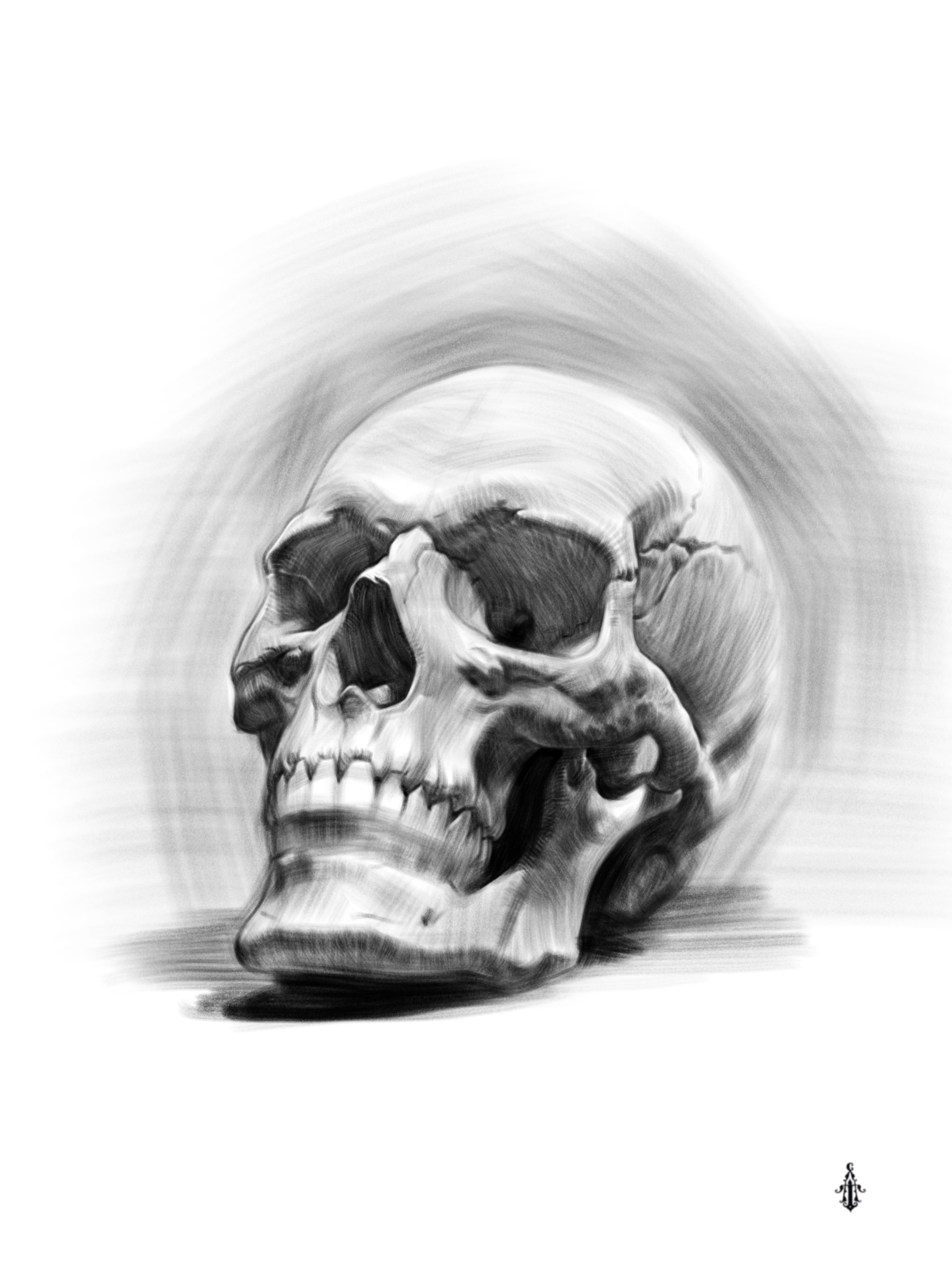 Artstation Procreate Art Draw A Human Skull Tima Akai So grab some paper and somethin… now draw a line straight down the sides of the upper teeth to start drawing the lower teeth and jaw. procreate art draw a human skull tima
