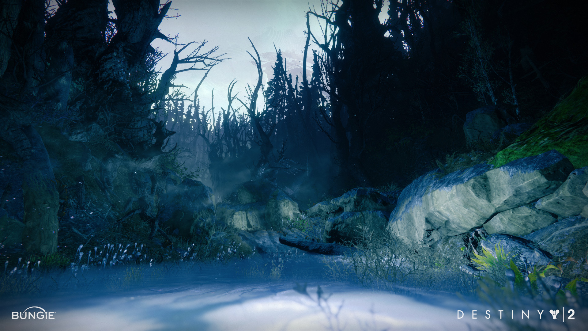 Artstation Destiny 2 Edz Dark Forest Marc Thompson