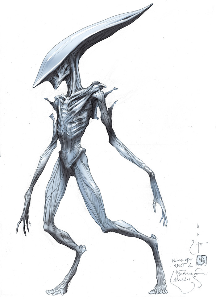 neomorph adult 2 color first concept

