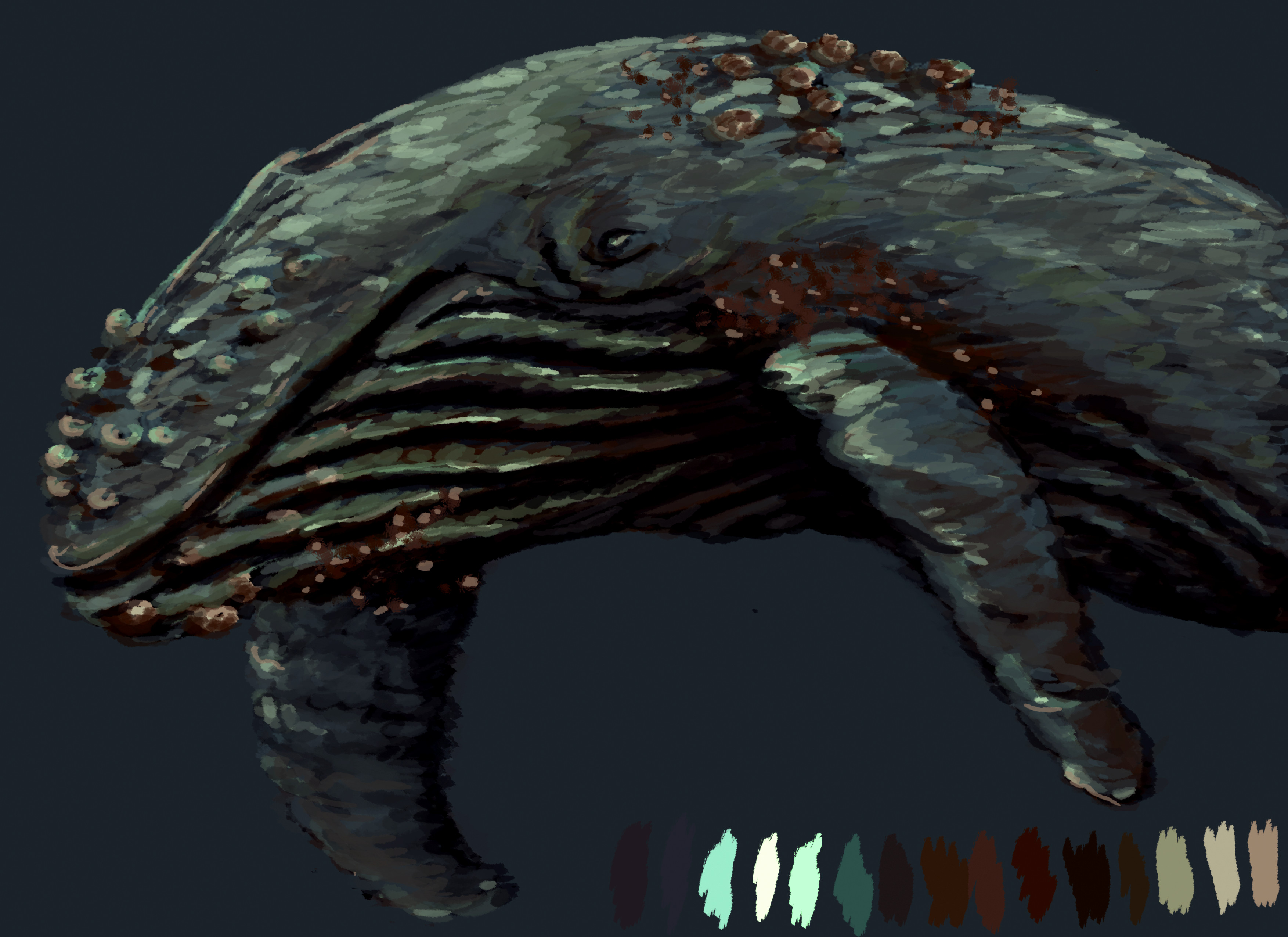 Humpback Whale Variation 2 paintover