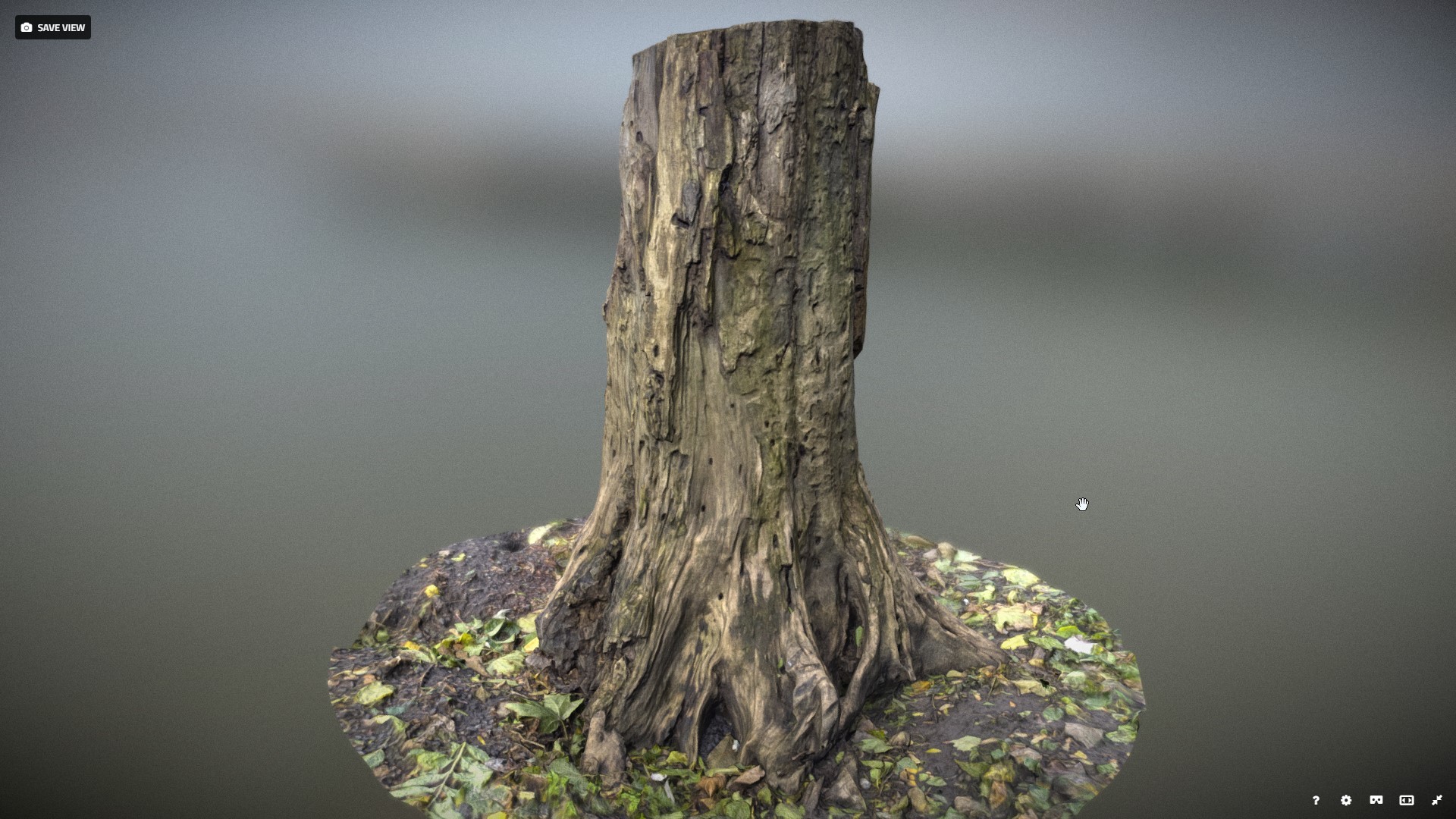 Artstation Tree Stump 3 Yegor Tsyba
