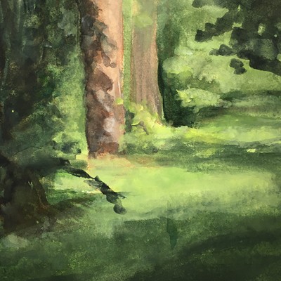 Dappled Light