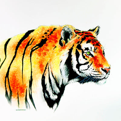 Jason lockwood personal tiger1