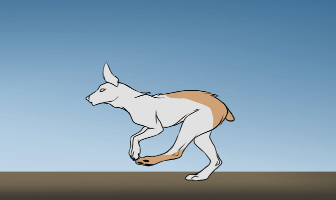 ArtStation - [ ANIMATION ] Dog Run