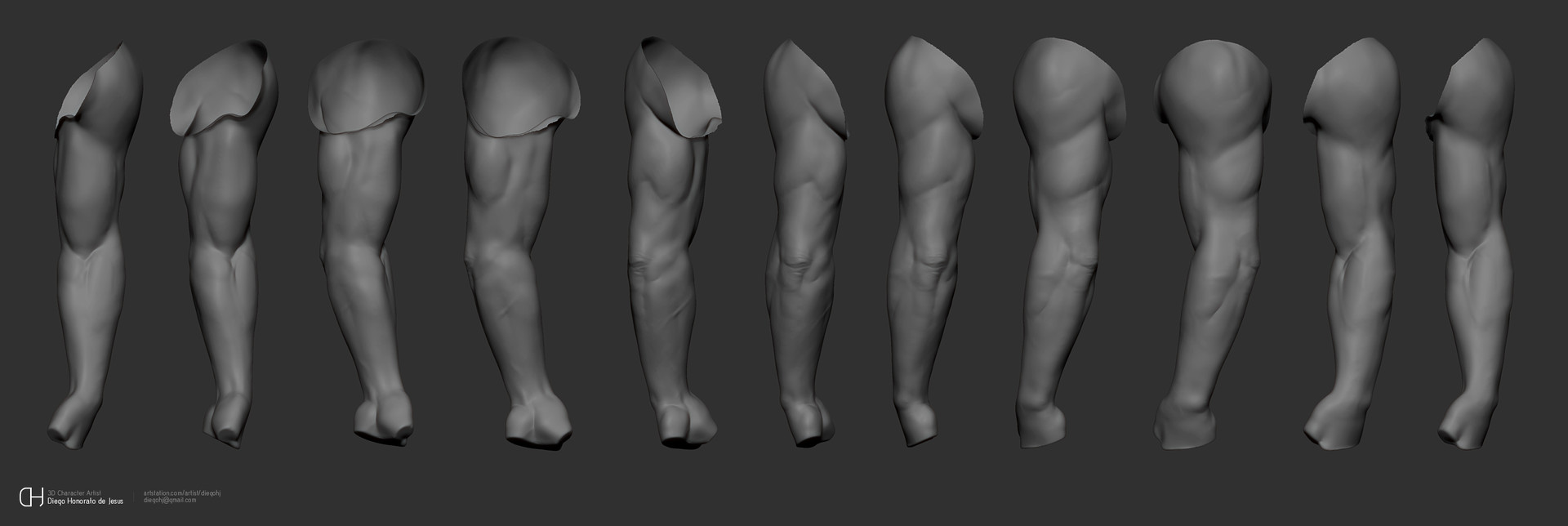 Diego Honorato - Portfolio - Anatomy Studies