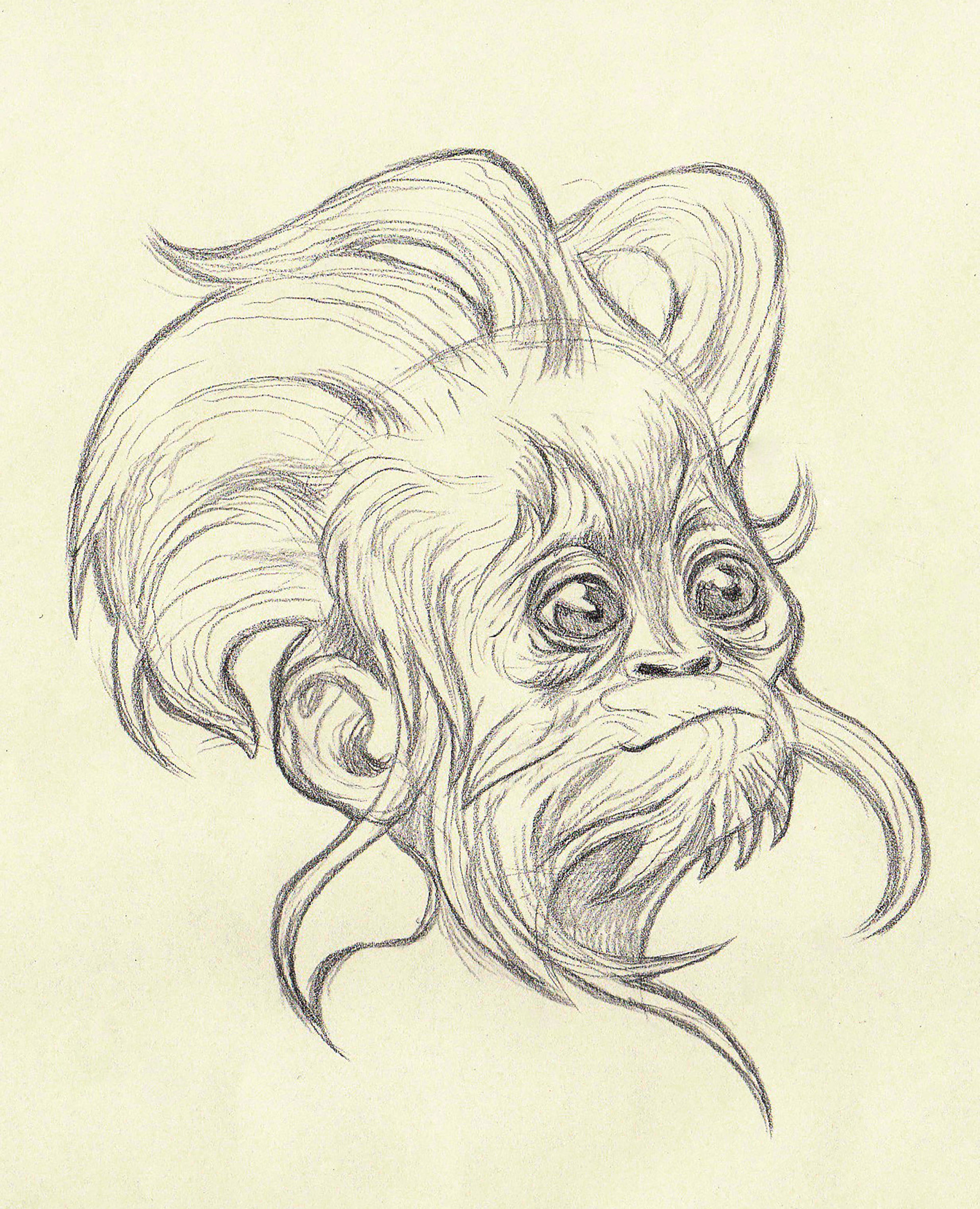 Artstation Baby Orangutan Q Vadan