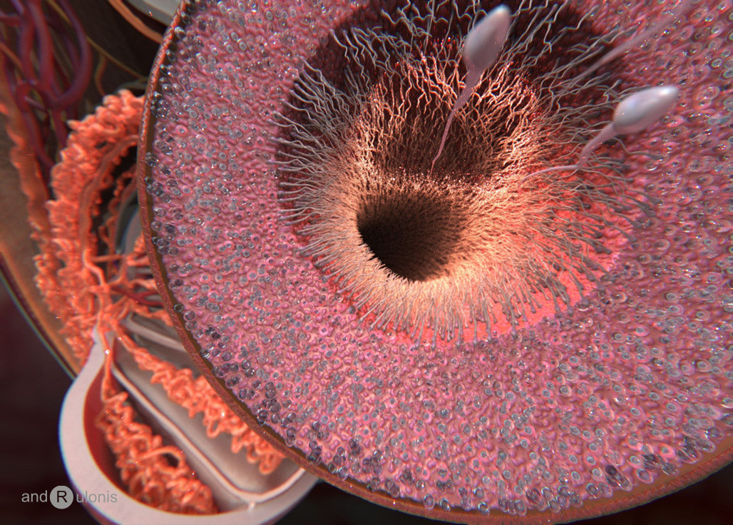 Ekstremal mayo kiygan qizlarning barcha porno fotosuratlari