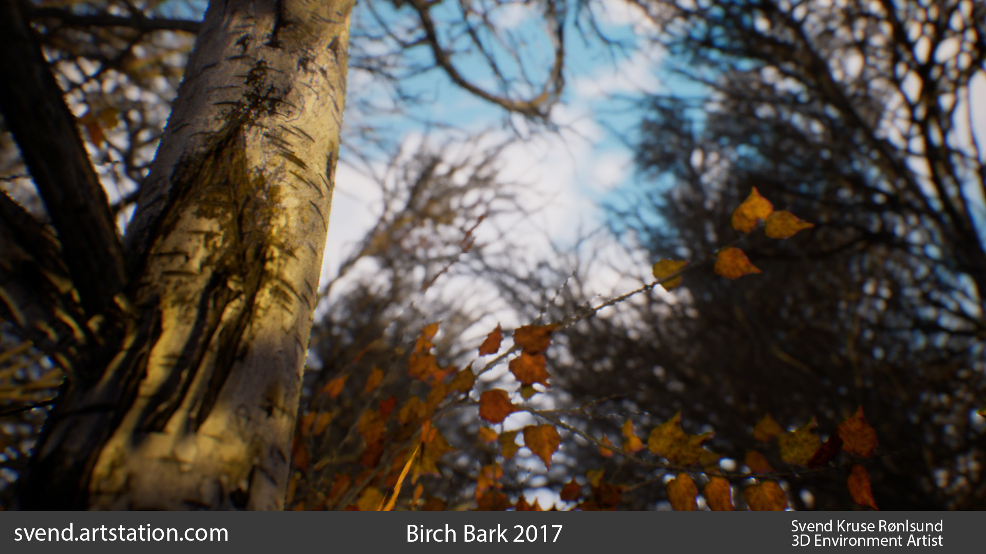 Artstation Free Birch Tree Subtance Svend Kruse Ronslund