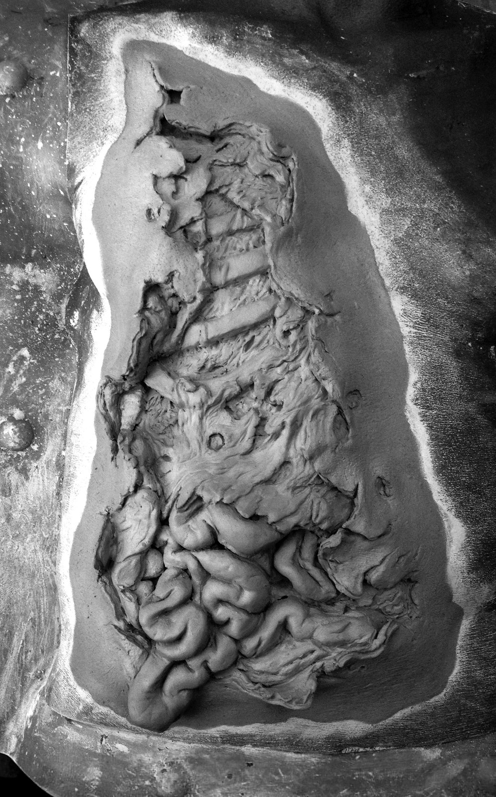 Zombie Torso Wound Sculpture