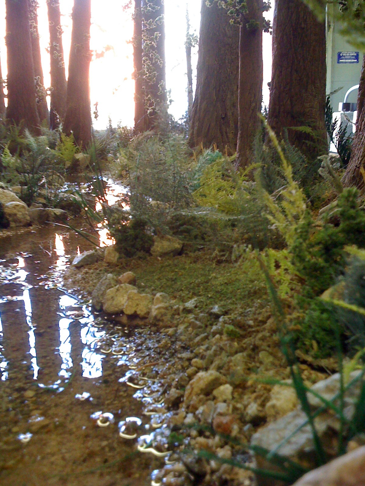 Weird Forest Miniature Stop Motion Set 