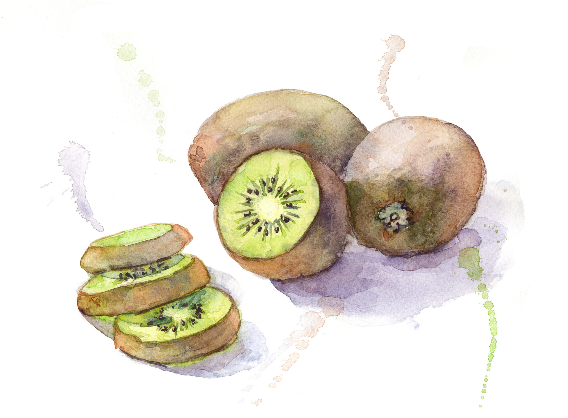 Kiwi | Kiwi fruit drawing, Kiwi vector, Logo design tutorial