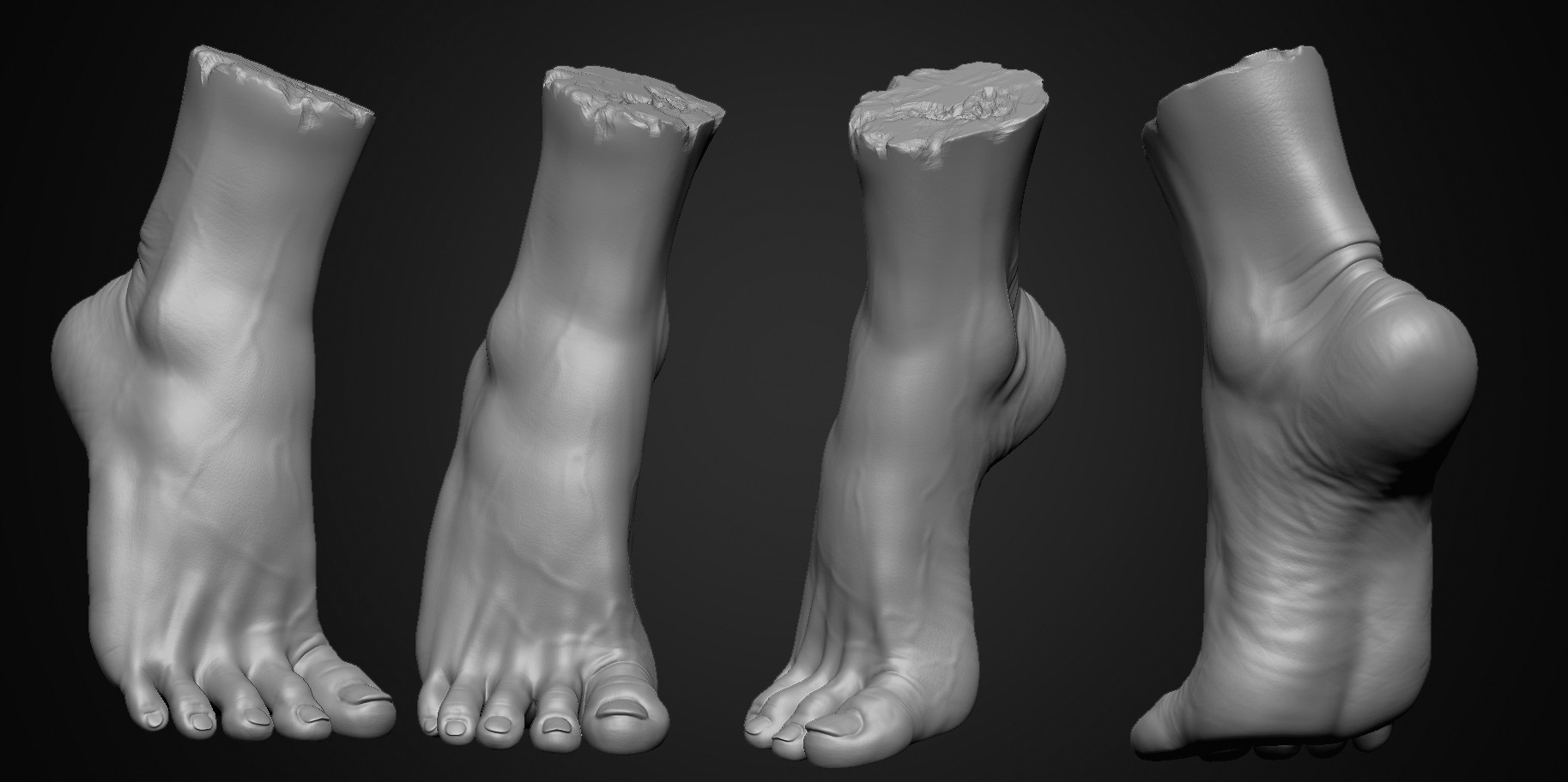 ArtStation - foot anatomy study