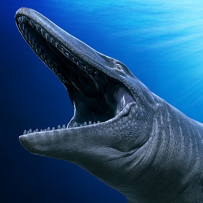 saurian mosasaurus