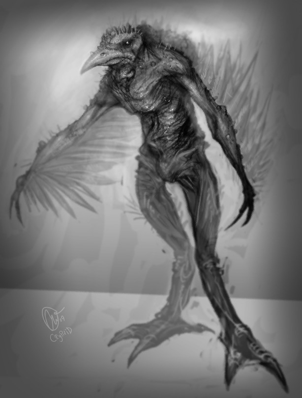 Bird Creature Concept Sketches