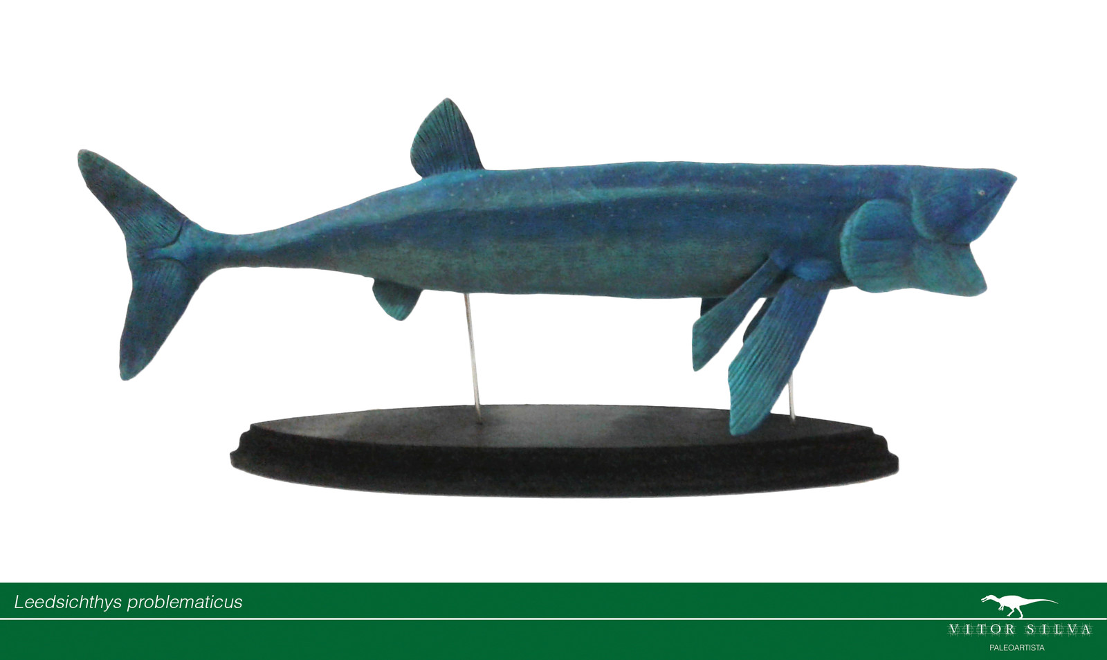 Vitor Silva - Leedsichthys