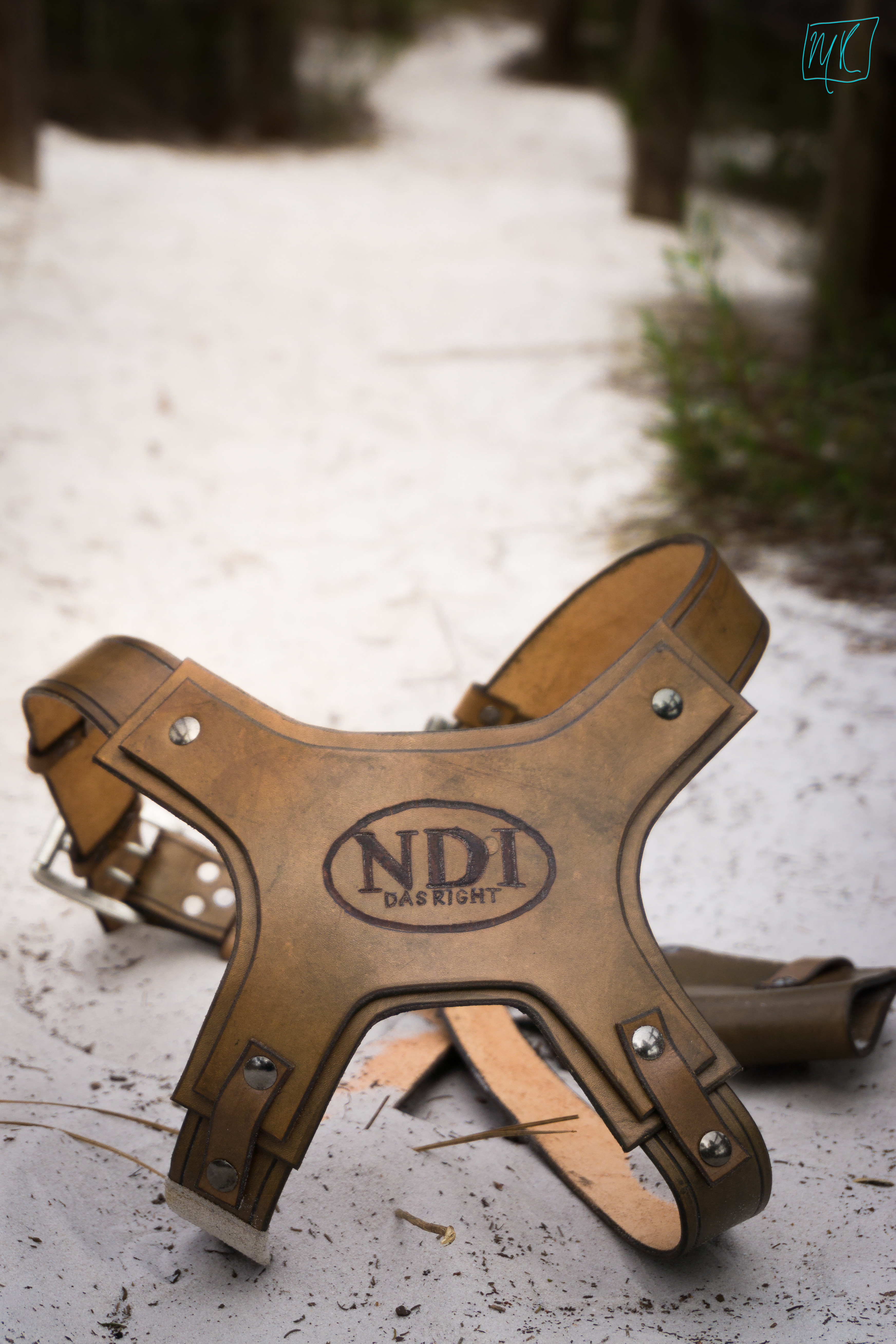 Uncharted 2: Among Thieves Holster

Photo credit to my friend Marley Kudiabor