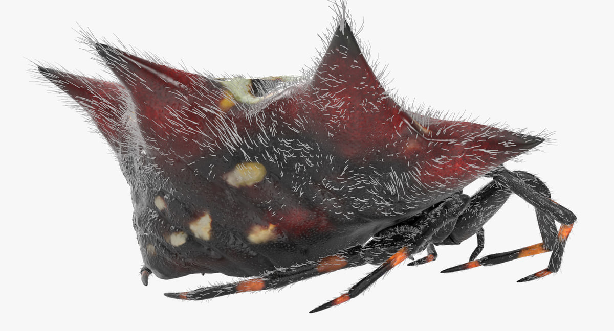 Exclusive Flesh And Blood Rainbow Foil Orb-Weaver Spinneret
