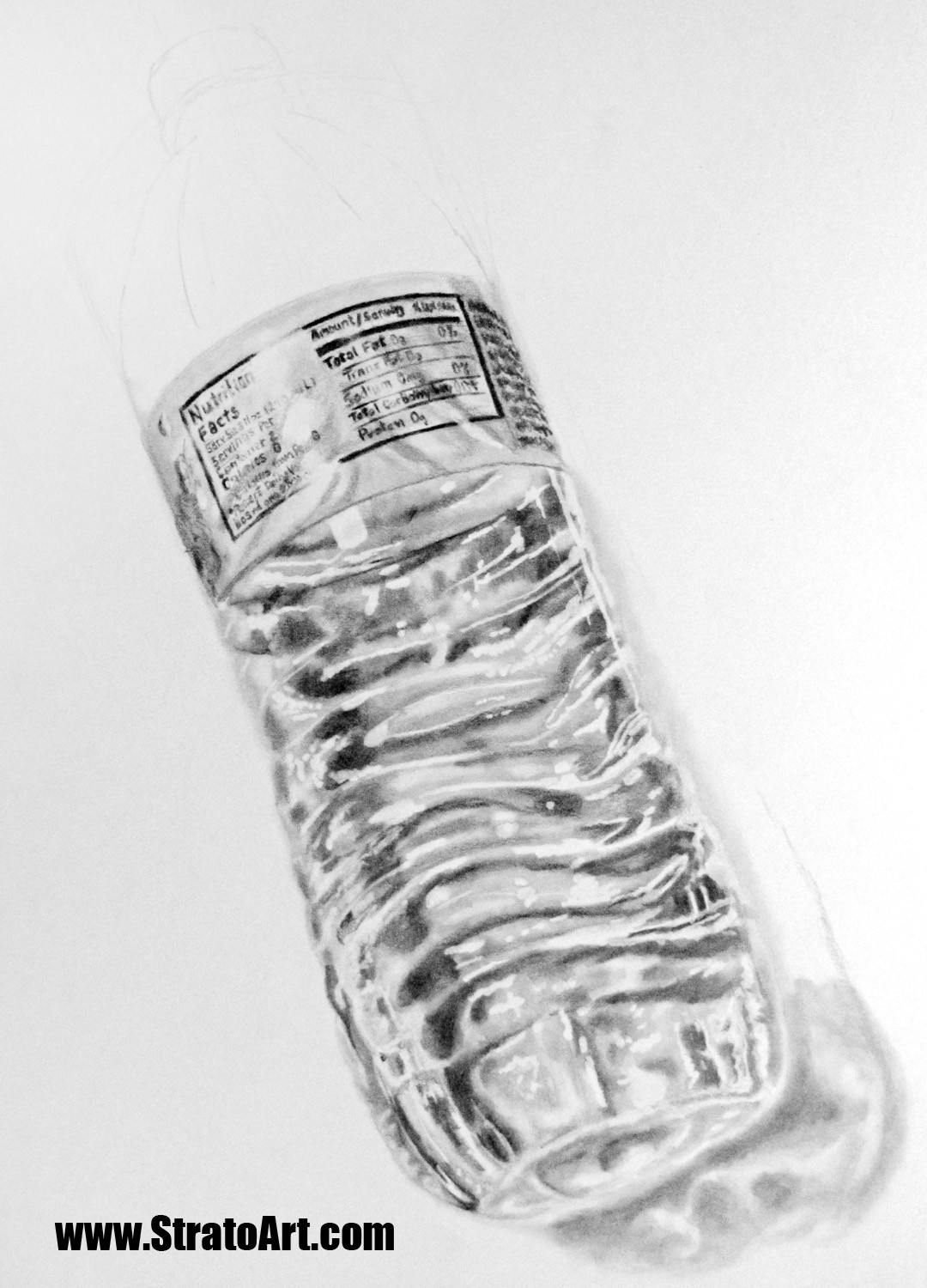 labeling was done with a 4B lead mechanical pencil.
