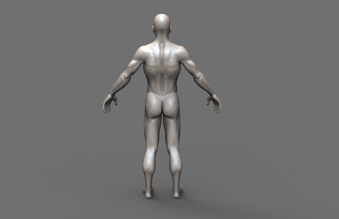 Back