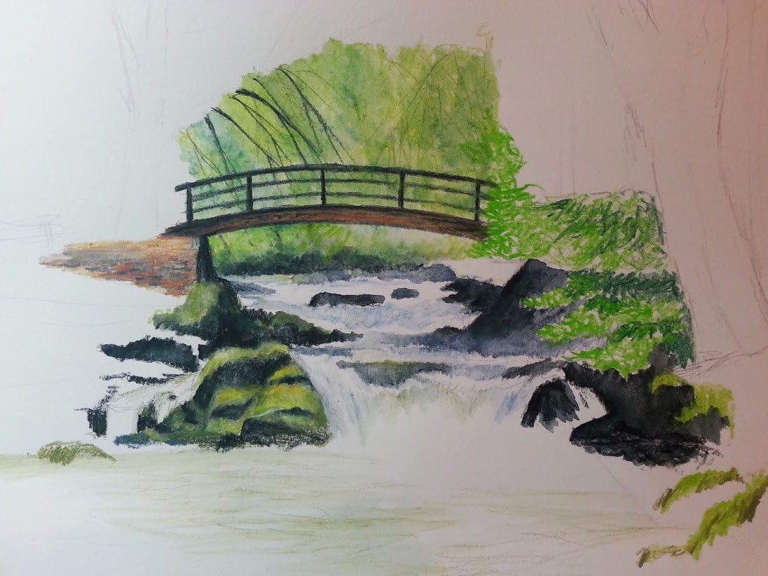 Using a scumbling technique, I start to draw in various tones of the leaves on the right side.