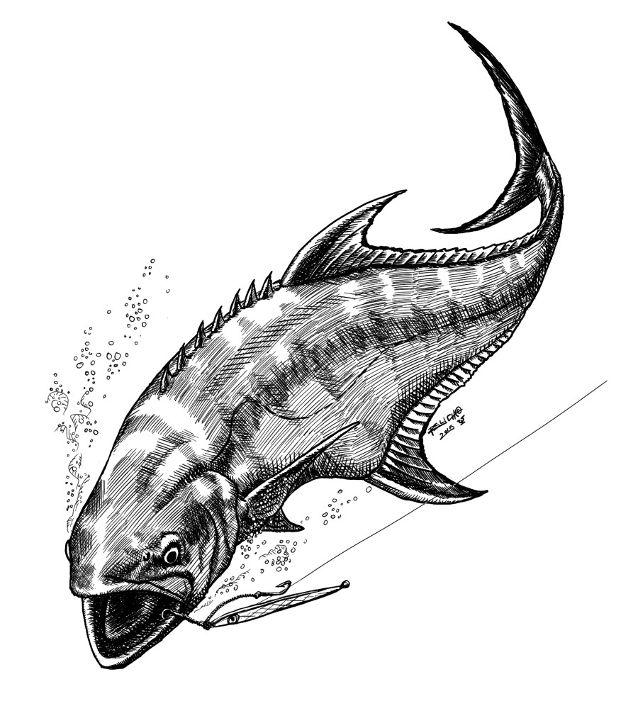 Leerfish (Lichia amia)