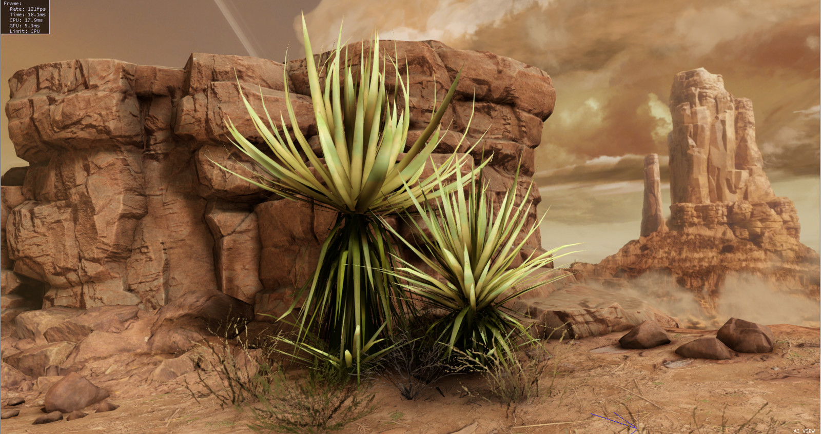 Yucca plant