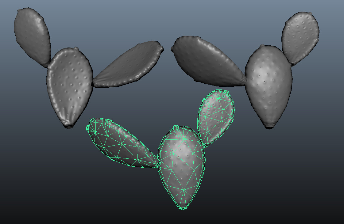 Prickly Pear modularity and polycount