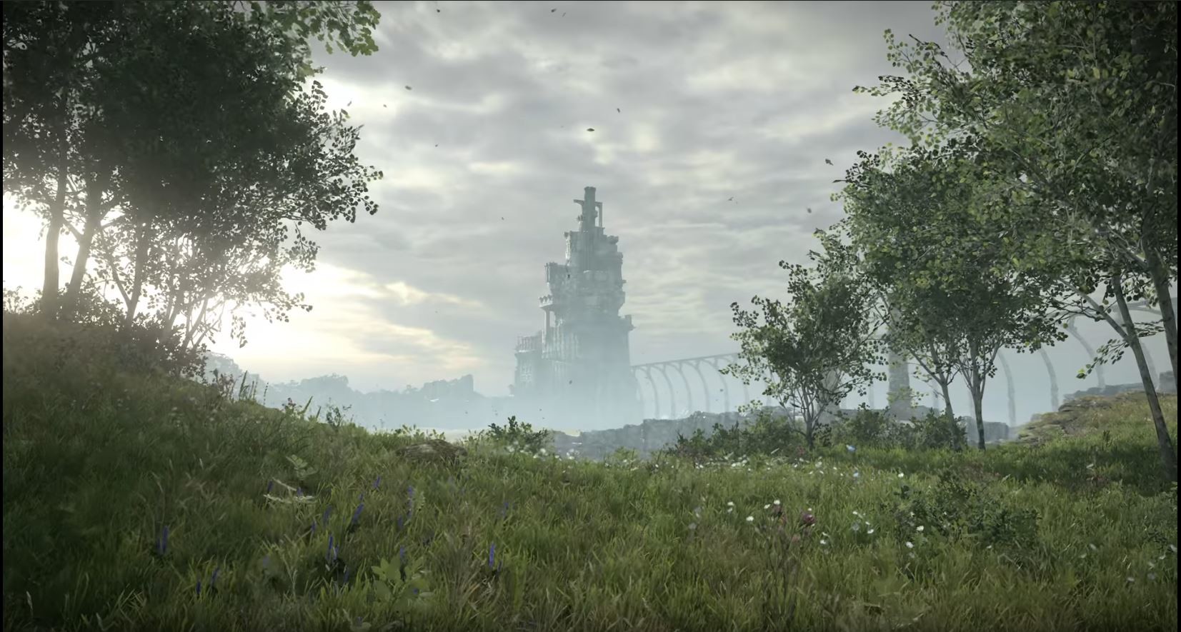 Shadow of the Colossus Remake (Reprise): ❤Reminiscence and ⚡Criticisms –  Turn Based Turnip