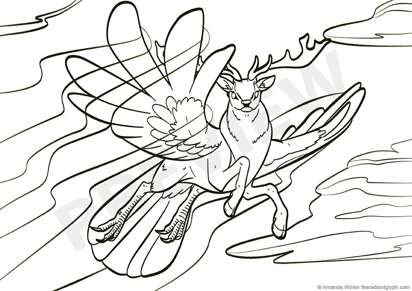 Amanda Winter - Fantastic Animals colouring pages - 2017