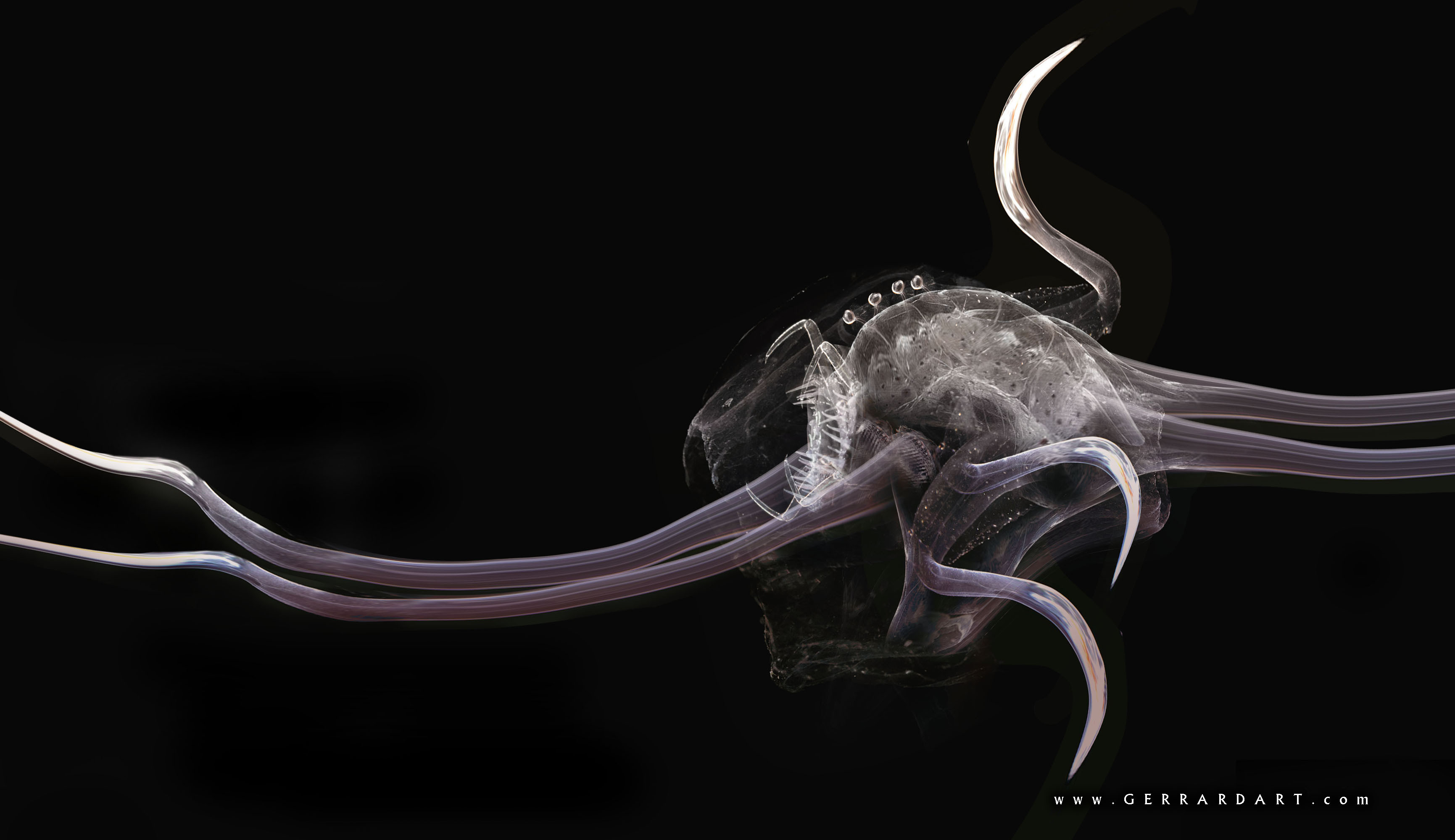 Dweller  concept