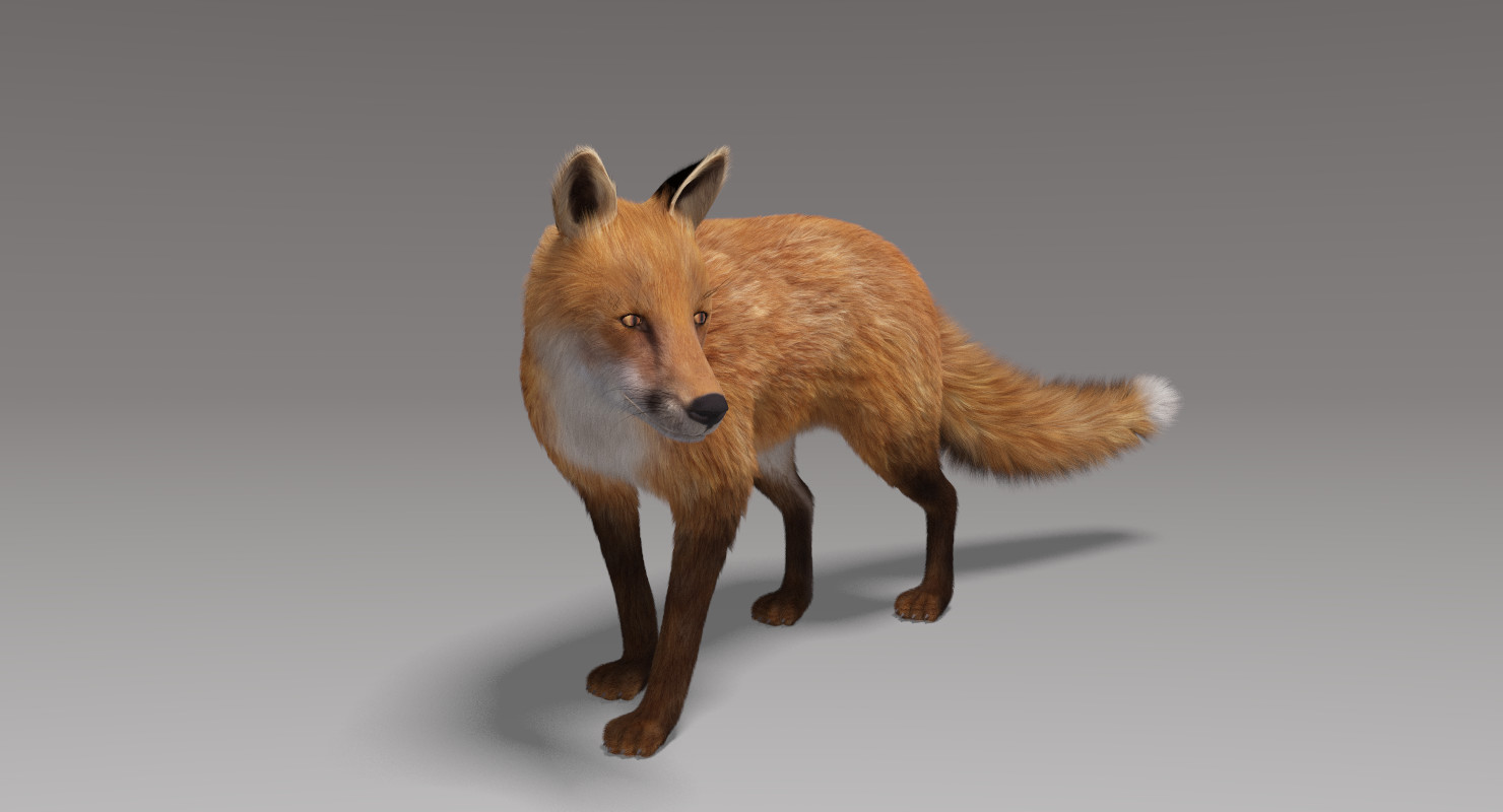 модель лисы. лиса 3д. лисица мод. лиса 3d модель. лисица мод.