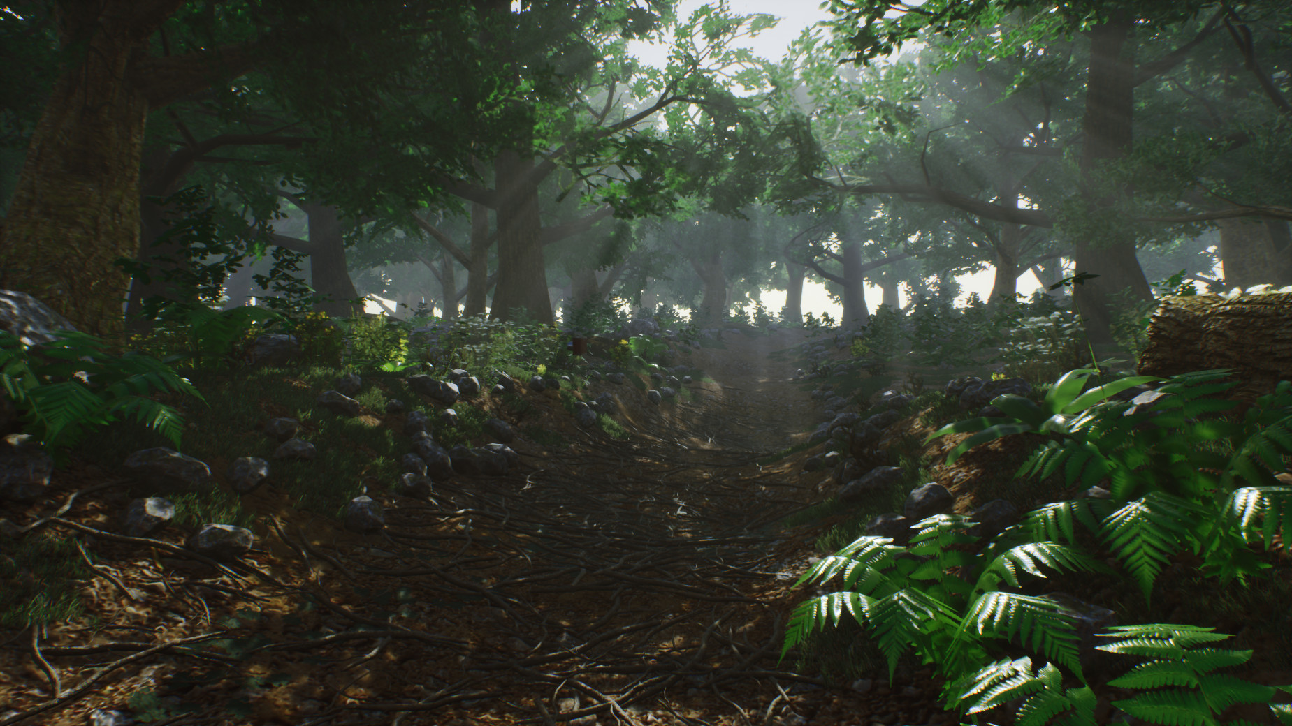 Environment username