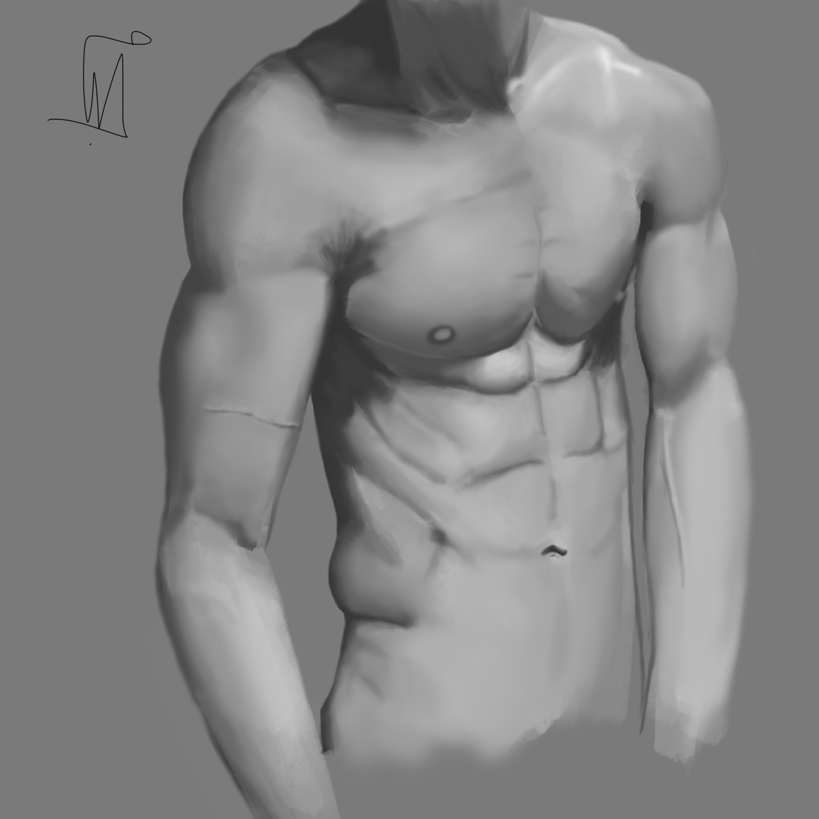 Artstation Male Torso Study Wael Mahrouseh Male kibbi anatomy body chest malestock muscles reference referencesheet stockings stocks torsonude torsoanatomy kibbitzer referencestock. artstation male torso study wael