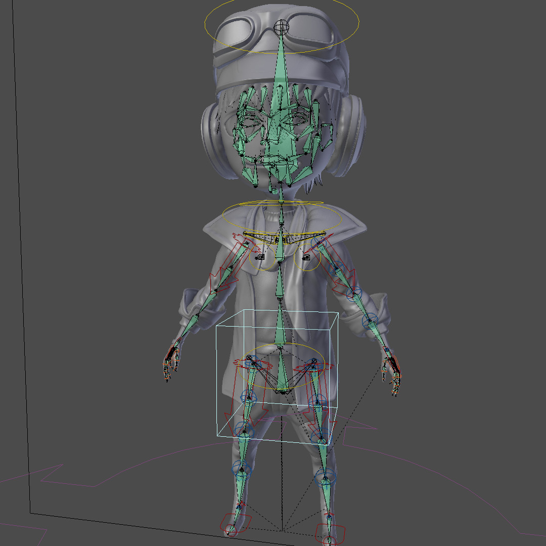 full rig using Rigify
