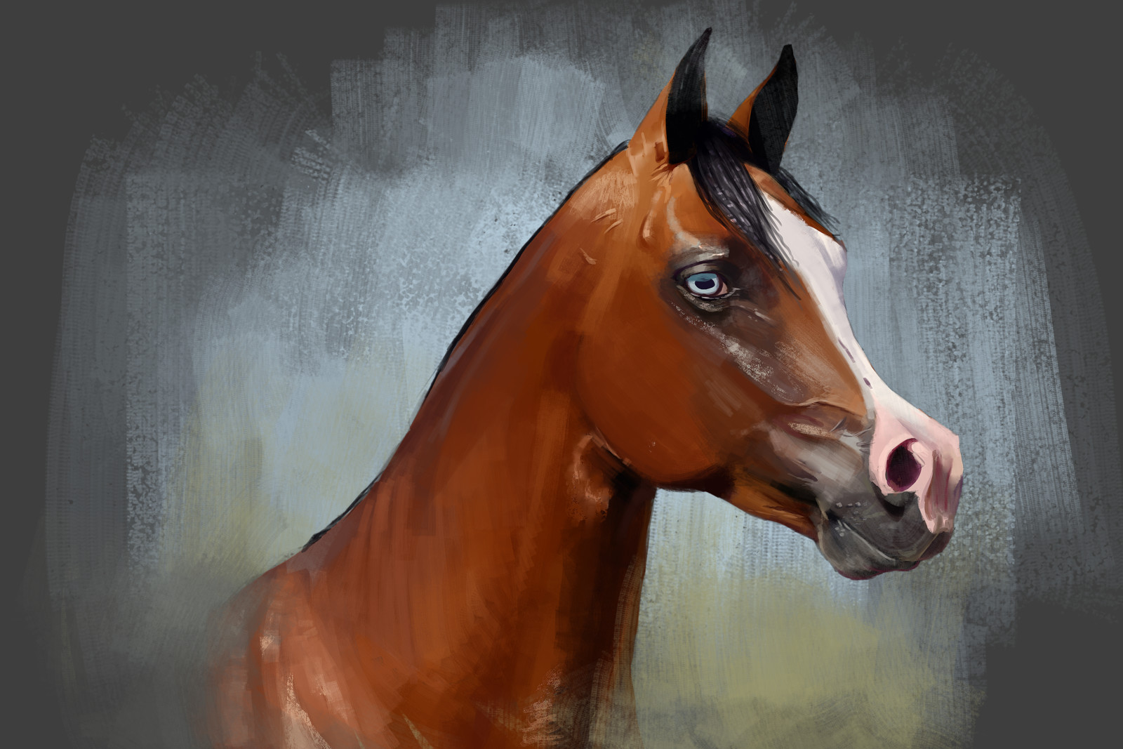 Arabian horse.