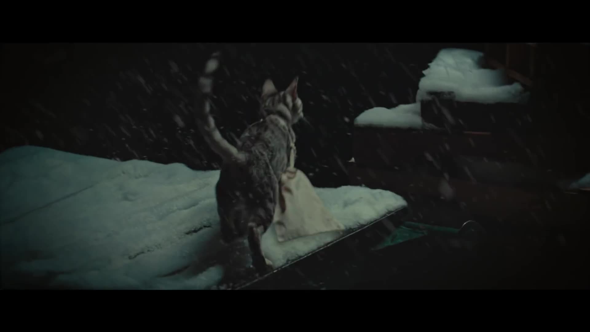Artstation New York Lottery Commercial Bodega Cat Matte