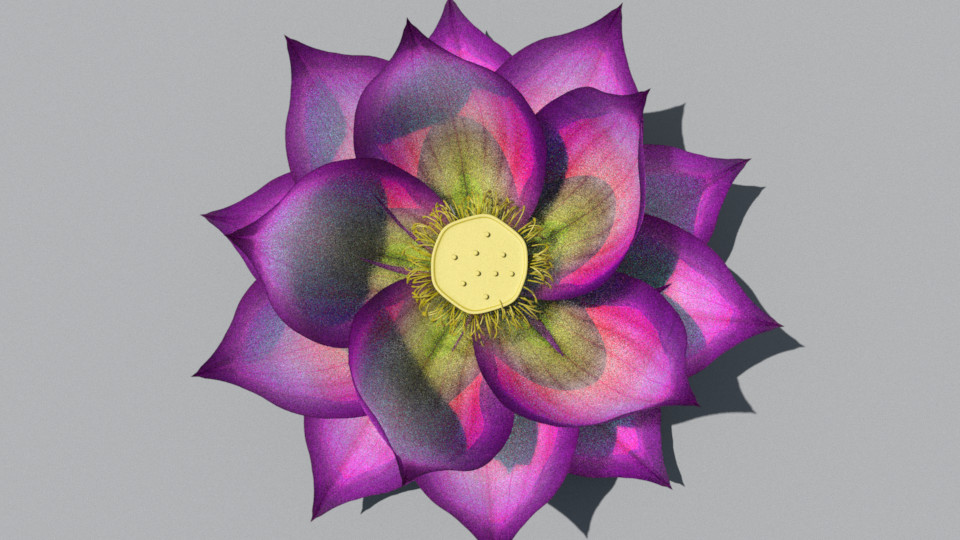 ArtStation - Flower Animation