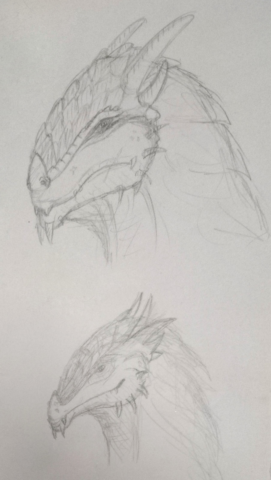 Dragonborn Traditional Sketch