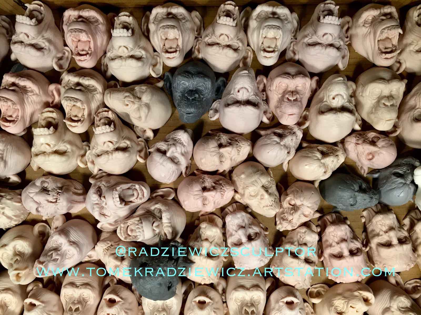 Creature heads