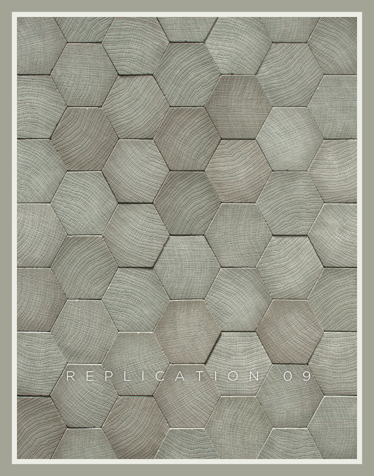 Replication 09