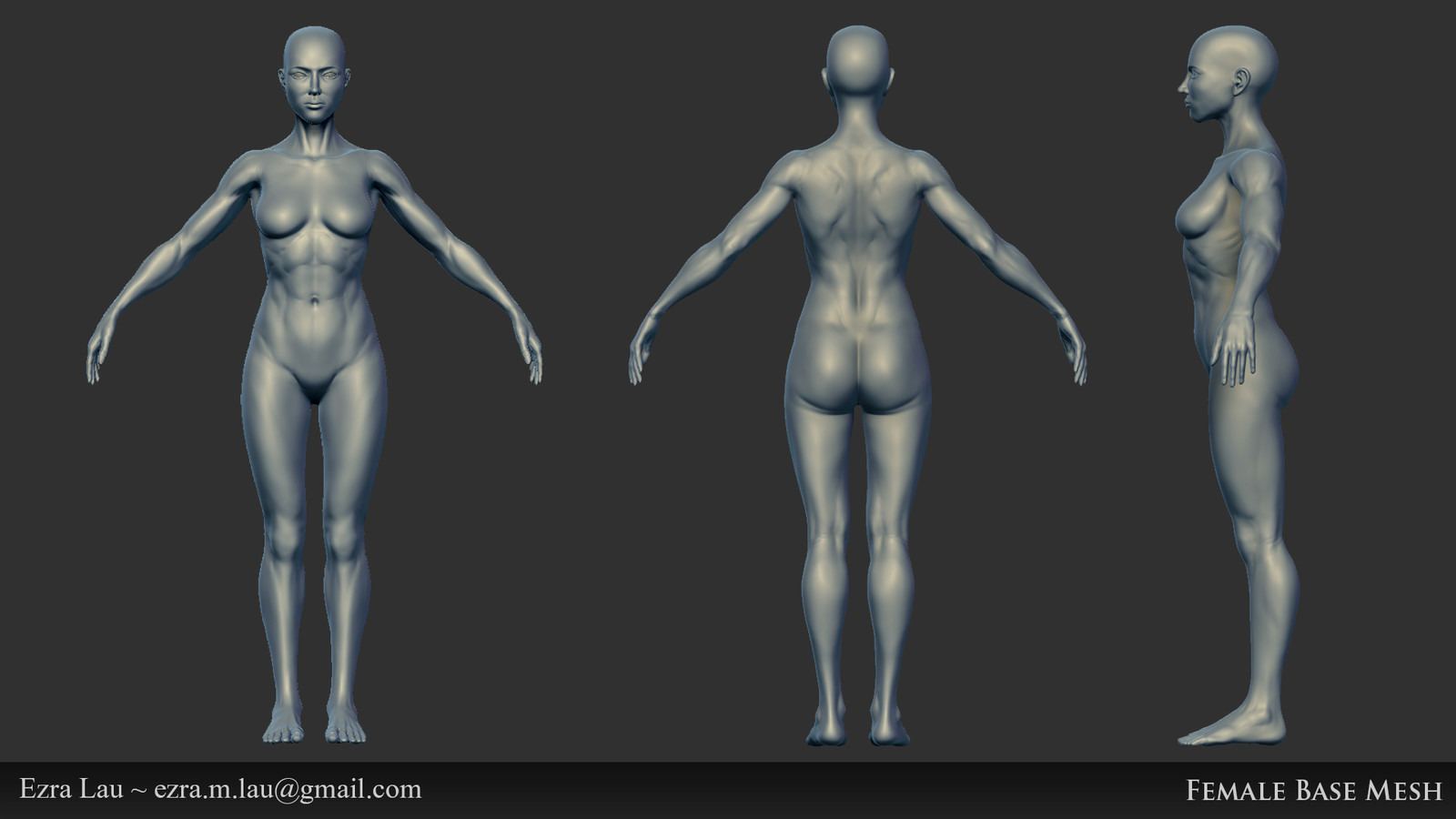 Female Custom Base Mesh 3d Model