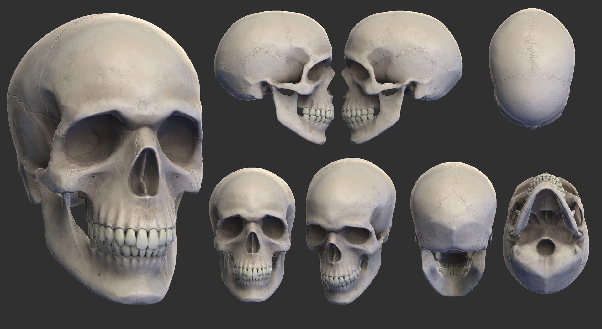 Anais Sanchez - Skull 3D