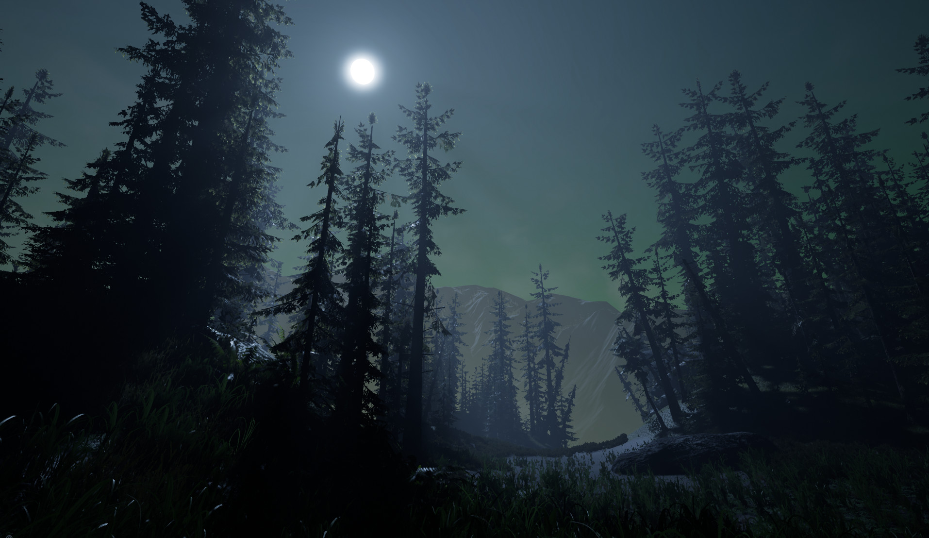Blender forest. Environment текстура. Фон леса для блендера. Блендер environment. Текстуры леса для Blender.